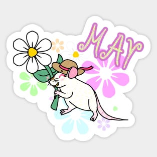 May Rat Sticker